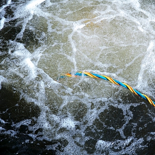 web-dive