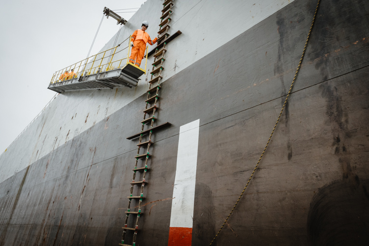 shipping8862 NL