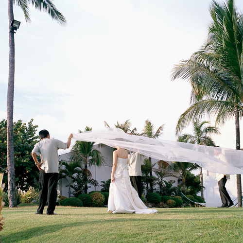 Take me to the Hilton manilla wedding- 500