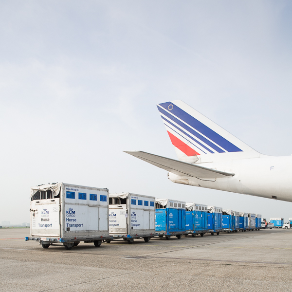 natascha libbert for Airfrance KLM Cargo -_I0B1585- 600