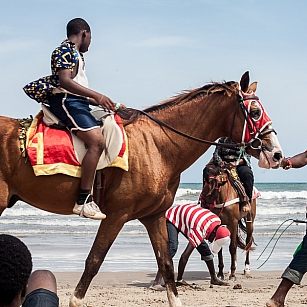 beach labadi horses-4805